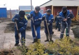 Сотрудники филиала в г.Давлеканово приняли участие  в экологической акции «Посади дерево»