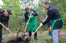 Зеленая пятница : сотрудники компаний «Газпром межрегионгаз Уфа» и «Газпром газораспределение Уфа» приняли участие в экологической акции по высадке деревьев